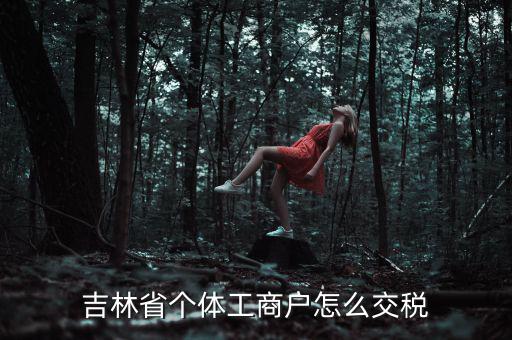 吉林個(gè)人所得稅如何申報(bào)，個(gè)人所得稅申報(bào)問(wèn)題吉林省