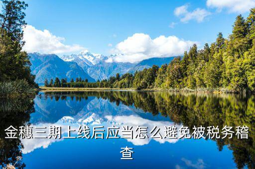 金穗三期如何申報(bào)工會(huì)費(fèi)，航天金穗網(wǎng)上申報(bào)軟件下哪個(gè)