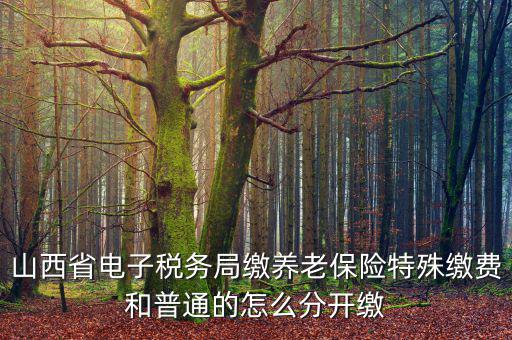 山西養(yǎng)老保險(xiǎn)如何和國(guó)稅局對(duì)接，交養(yǎng)老保險(xiǎn)交到國(guó)家稅務(wù)總局怎么辦