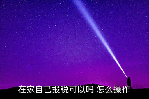 如何自行申報(bào)納稅，在家自己報(bào)稅可以嗎 怎么操作