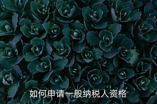 一般納稅人如何申請(qǐng)B級(jí)，一般納稅人B類企業(yè)如何申報(bào)企業(yè)所得稅