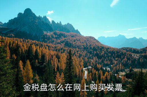 金稅盤如何網(wǎng)上購票，金稅盤領購發(fā)票的流程