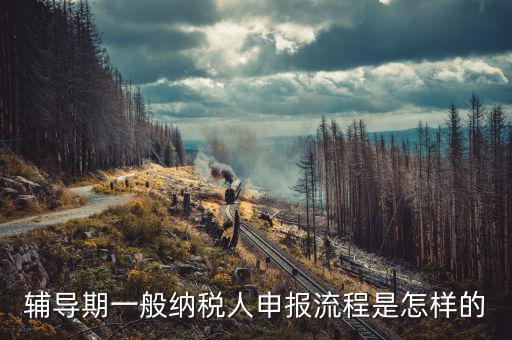 單位培訓(xùn)如何為授課人報(bào)稅，輔導(dǎo)期的報(bào)稅具體流程是怎么樣