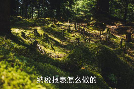 如何做數(shù)據(jù)報稅，在開普票里每月1號申報數(shù)據(jù)具體怎么弄的先點擊報稅再點