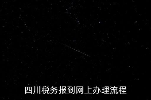 四川企業(yè)地稅如何網(wǎng)上申報系統(tǒng)，稅務(wù)申報如何網(wǎng)上申報