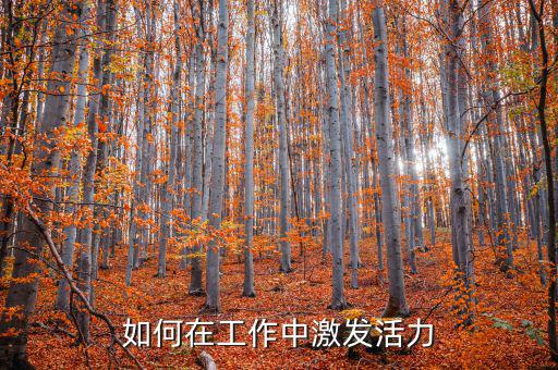 如何激發(fā)稅務干部的活力，在稅收工作中如何激發(fā)下屬的潛力
