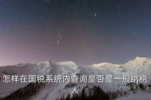怎樣在國(guó)稅系統(tǒng)內(nèi)查詢(xún)是否是一般納稅人