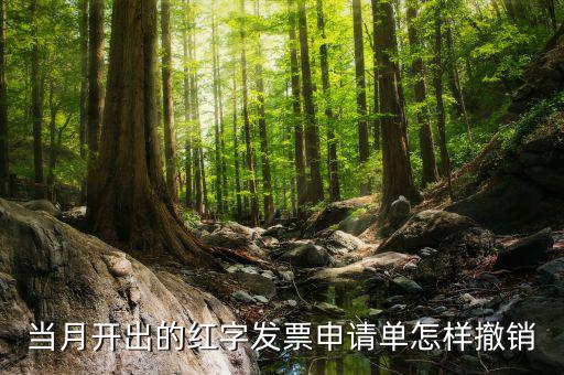 如何撤銷紅字發(fā)票申請(qǐng)書(shū)，紅字申請(qǐng)單如何作廢