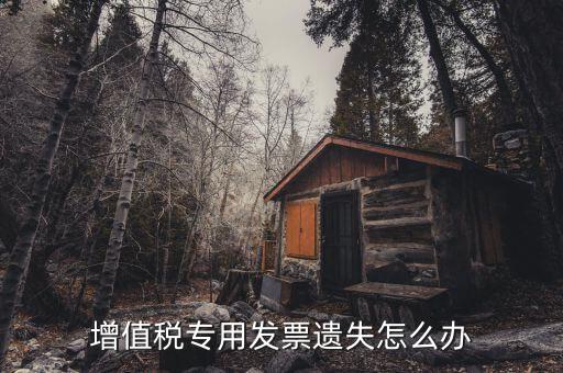 丟失專用發(fā)票如何，丟失空白增值稅專用發(fā)票如何處理