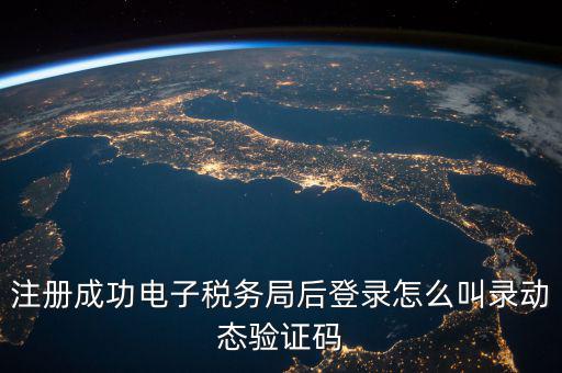 注冊成功電子稅務(wù)局后登錄怎么叫錄動態(tài)驗(yàn)證碼