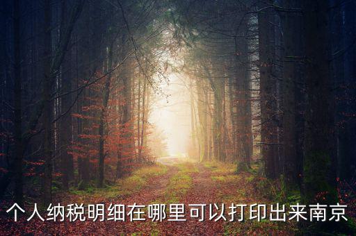如何打印個稅明細(xì)，個人納稅明細(xì)在哪里可以打印出來南京