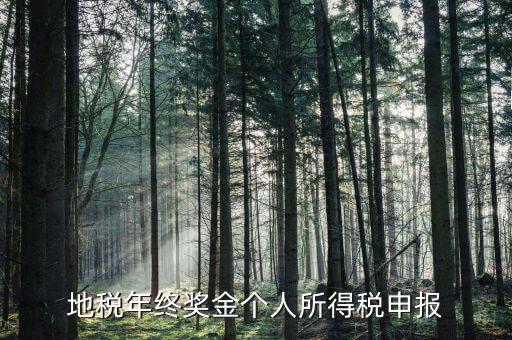 地方稅務(wù)局網(wǎng)上如何申報(bào)年終獎(jiǎng)，網(wǎng)上報(bào)稅中年終獎(jiǎng)怎么報(bào)怎么操作啊