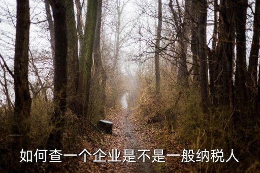 如何查是否一般納稅人，怎么確認(rèn)一家單位是不是一般納稅人