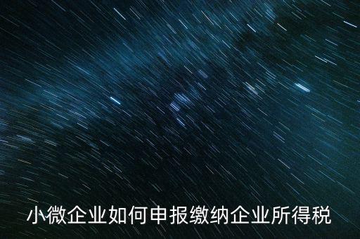 小企業(yè)如何繳納所得稅，小規(guī)模企業(yè)所得稅怎么交納