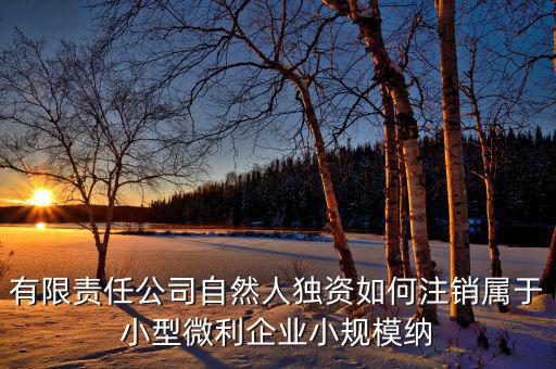如何注銷小微企業(yè)所得稅，小微企業(yè)工商稅務(wù)注銷手續(xù)