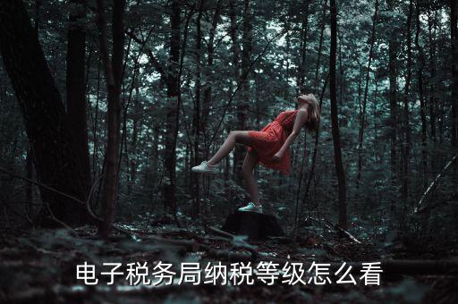 如何查詢納稅人納稅等級，電子稅務局納稅等級怎么看