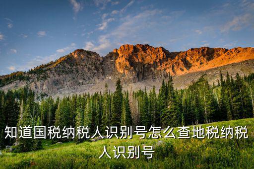 如何上國稅網(wǎng)查納稅人信息，怎樣查詢國稅繳稅信息