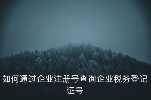 如何查詢公司稅務(wù)編號查詢系統(tǒng)，公司的稅務(wù)登記證號怎么查詢