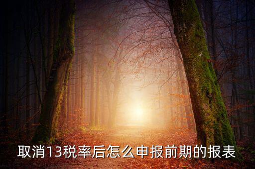 取消13稅率申報表如何填，13的稅率沒了納稅申報以后怎么辦