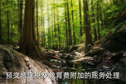 預(yù)繳城建稅如何處理，預(yù)交城建稅及教育費附加的賬務(wù)處理