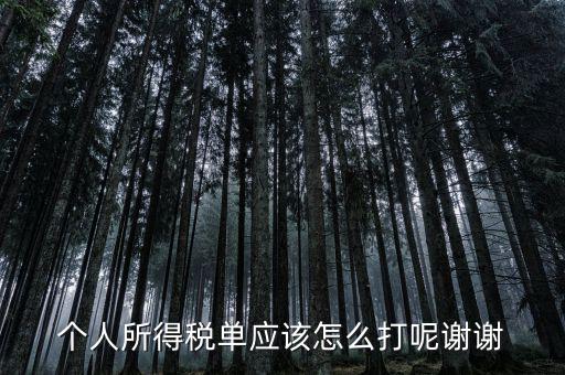 如何打印個(gè)人所得稅清單，請問如何打印個(gè)人個(gè)人所得稅繳款單據(jù)