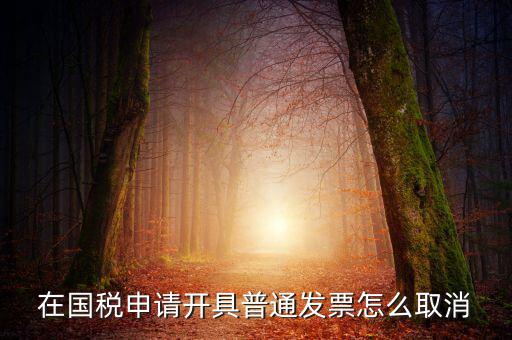 網(wǎng)上申領發(fā)票如何撤銷，已經(jīng)申報了的發(fā)票怎么作廢