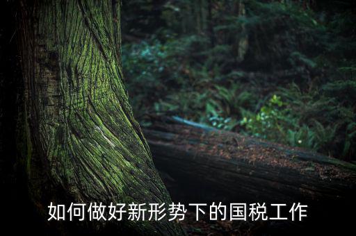 如何貫徹國稅工作會(huì)議上的講話，如何貫徹落實(shí)國稅系統(tǒng)化政府采購工作規(guī)范