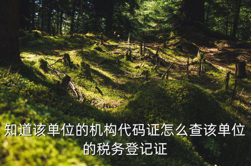 如何查企業(yè)稅務(wù)登記證號(hào)，公司的稅務(wù)登記證號(hào)怎么查詢