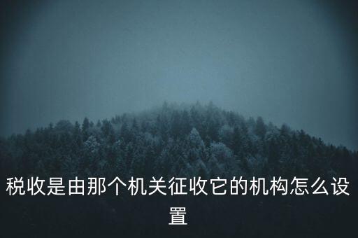 稅收是由那個機關(guān)征收它的機構(gòu)怎么設(shè)置