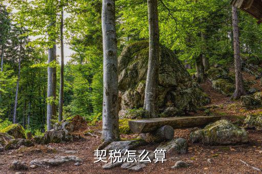 企業(yè)合并契稅如何計算，求高手解答如何計算企業(yè)應繳納契稅并進行契稅的會計處理
