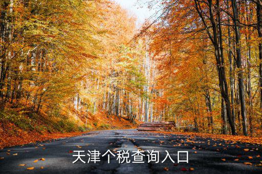 天津個稅如何查詢密碼，天津個稅查詢?nèi)肟?/></a></span><span id=