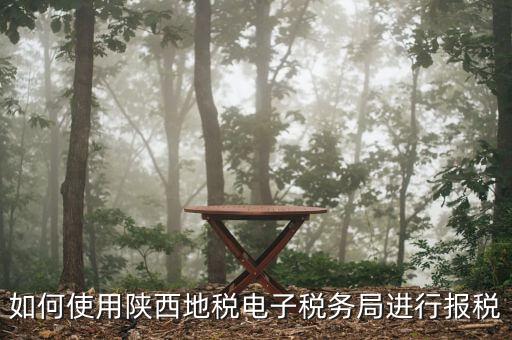 電子稅務局如何操作，如何使用陜西地稅電子稅務局進行報稅