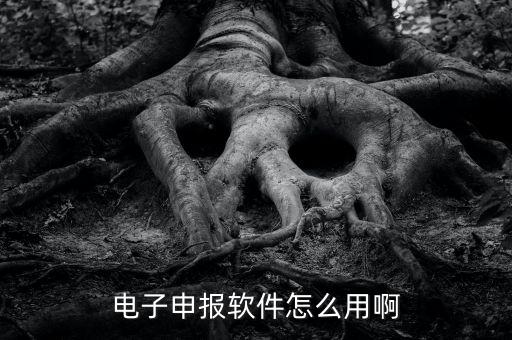 濟(jì)南電子稅務(wù)如何使用，網(wǎng)上辦稅平臺(tái)手機(jī)app怎么操作