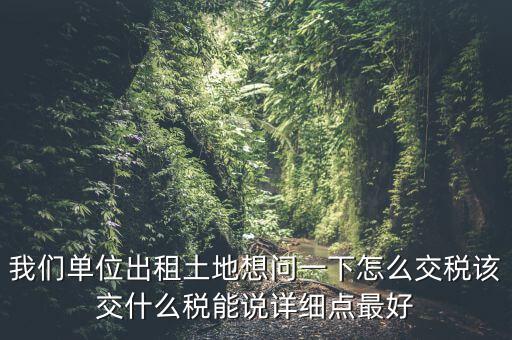 土地出租如何征稅，我們單位出租土地想問(wèn)一下怎么交稅該交什么稅能說(shuō)詳細(xì)點(diǎn)最好