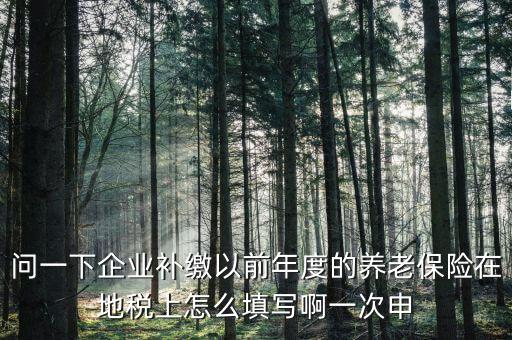 如何補(bǔ)打地稅社會(huì)保險(xiǎn)費(fèi)申報(bào)表，在網(wǎng)上交完社保后要怎樣補(bǔ)打社會(huì)保險(xiǎn)費(fèi)申報(bào)表