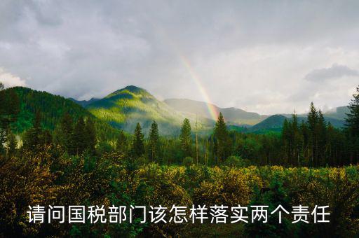 請(qǐng)問(wèn)國(guó)稅部門該怎樣落實(shí)兩個(gè)責(zé)任