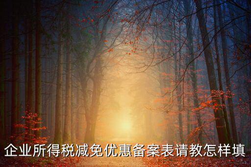 企業(yè)所得優(yōu)惠備案如何，企業(yè)所得稅減免優(yōu)惠備案表請教怎樣填