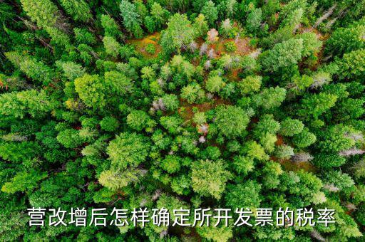 開票時稅率如何確認，發(fā)票的稅是怎么算的是不是數(shù)額越大要繳稅的百分比就越大比