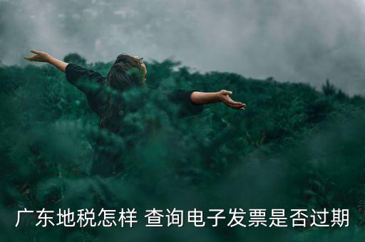 如何查詢電子發(fā)票是否有效，廣東地稅怎樣 查詢電子發(fā)票是否過(guò)期