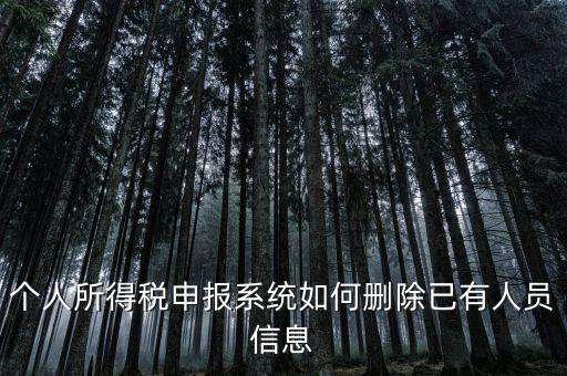 金三系統(tǒng)個稅申報人員如何刪除，如何刪掉個人所得稅人員信息