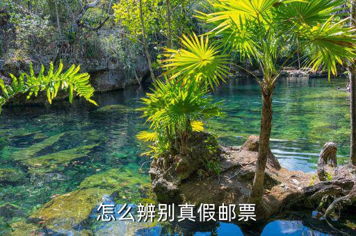如何查油票的真?zhèn)?，到底怎樣才能辨別鑒定郵票的真假呢