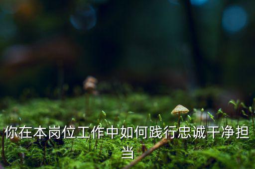 稅務(wù)干部如何講忠誠，如何做對黨忠誠個人干凈敢于的好干部