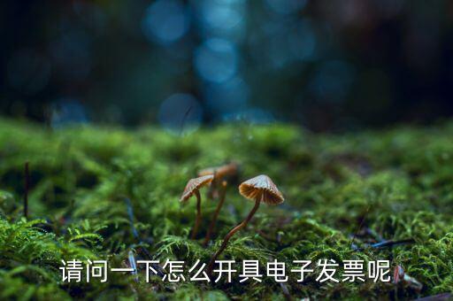 上海如何申領(lǐng)電子發(fā)票，請(qǐng)問一下怎么開具電子發(fā)票呢