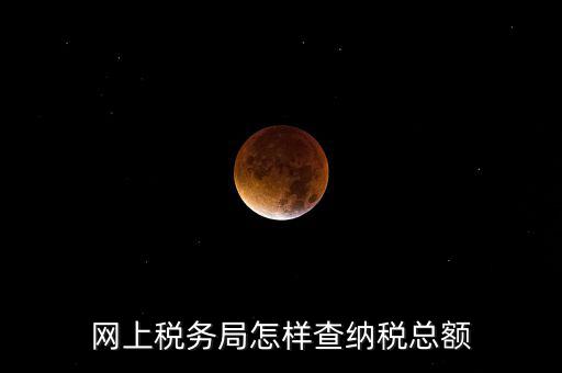 國(guó)稅局如何查稅，網(wǎng)上稅務(wù)局怎樣查納稅總額