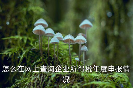 如何查詢企業(yè)個(gè)稅申報(bào)名單，怎樣查詢公司的所得稅已經(jīng)申報(bào)了
