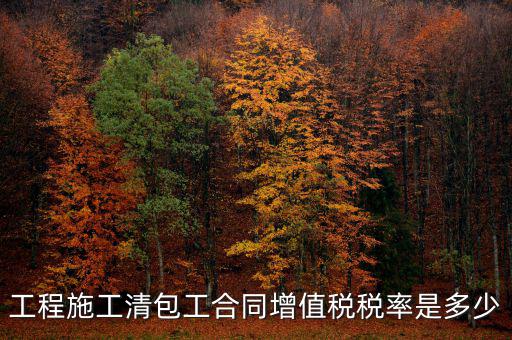 清包工 如何稅務(wù)，一般納稅人去國稅說明是清包工怎么寫說明