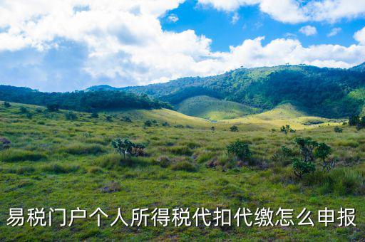 易稅門(mén)戶個(gè)人所得稅代扣代繳怎么申報(bào)