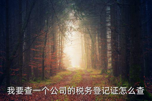 如何查企業(yè)的稅務(wù)登記證號，公司的稅務(wù)登記證號怎么查詢