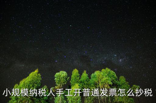 小規(guī)模納稅人開票系統(tǒng)如何抄報(bào)稅，小規(guī)模稅款控盤如何抄報(bào)稅