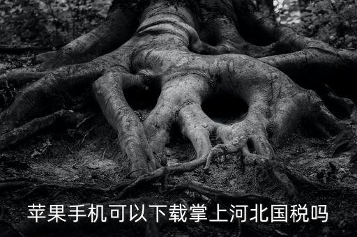 河北掌上國(guó)稅如何注冊(cè)，蘋(píng)果手機(jī)可以下載掌上河北國(guó)稅嗎